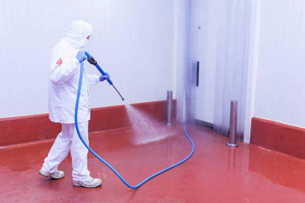 Best Roof Washing  in Bradley Gardens, NJ